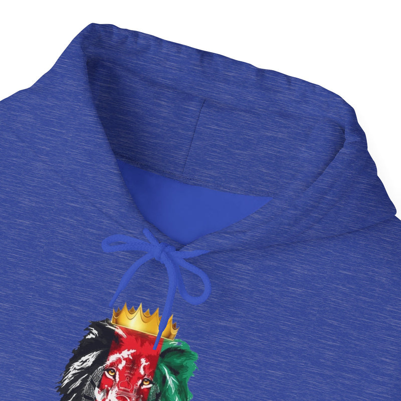 Graphic Lion King Afghanistan Flag Hoodie